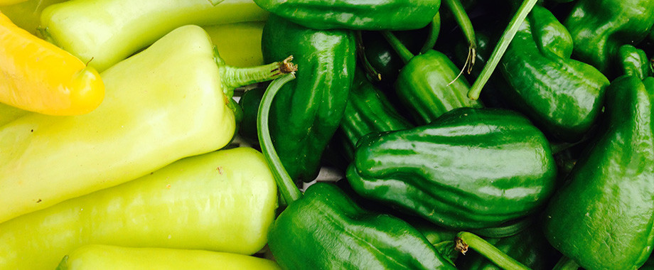 grnyellpepper copy