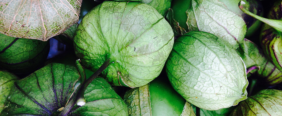tomatillo copy