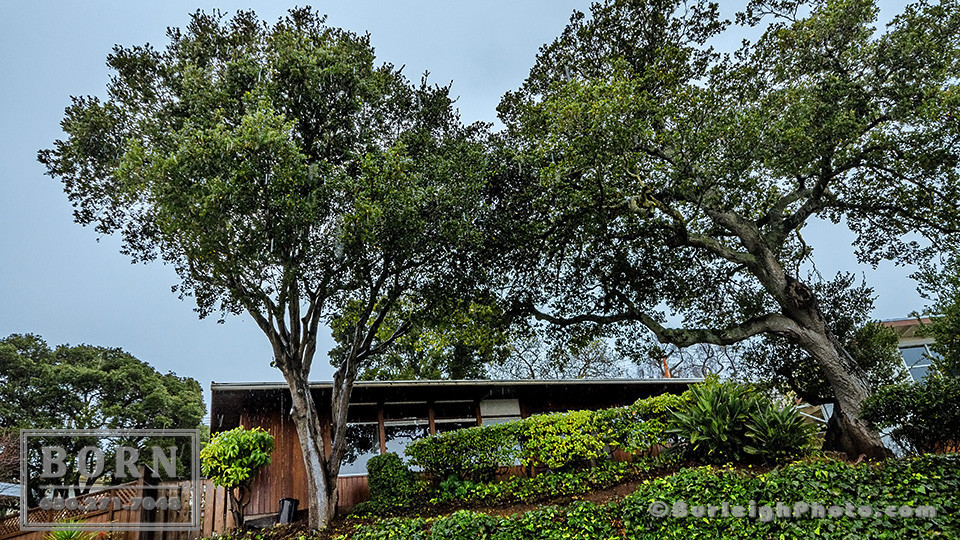 Property Management San Mateo CA Born Property Management