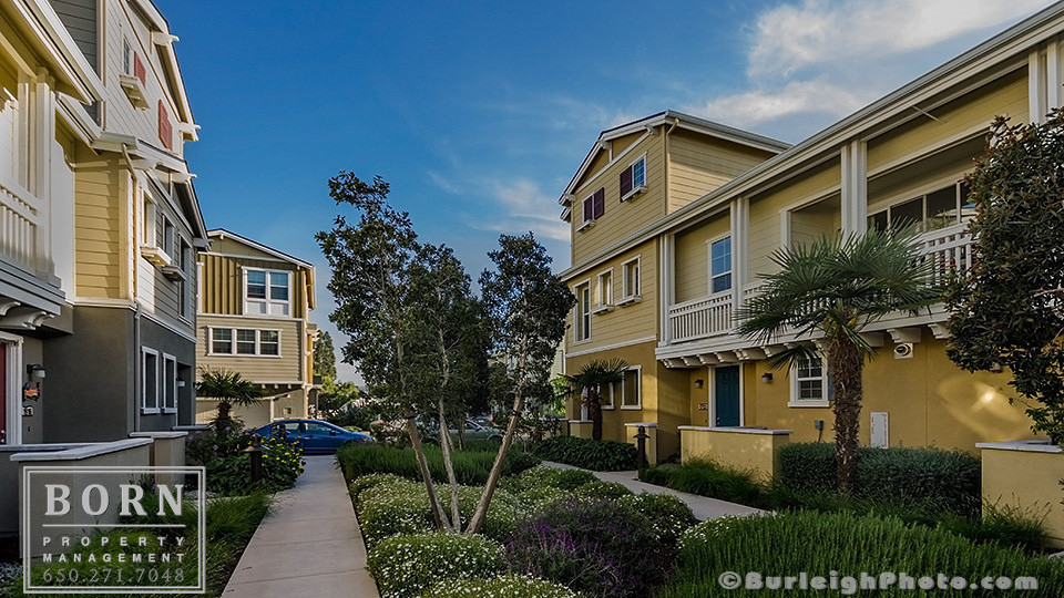 Property Management Services Born Property Management