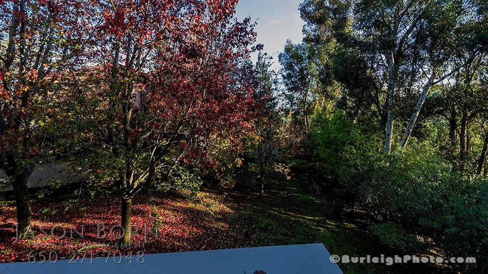 Property Management Menlo Park, CA Jason Born Property Management Born Property Management