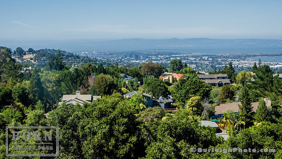 Property Management Emerald Hills CA Born Property Management