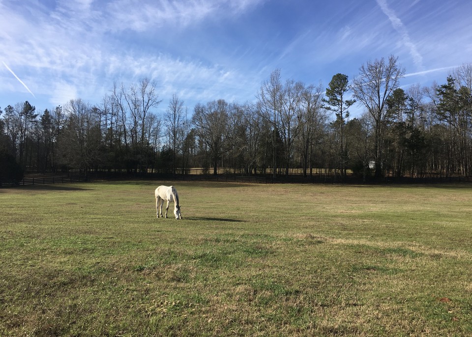 The Farm Promenade Farm Athens,