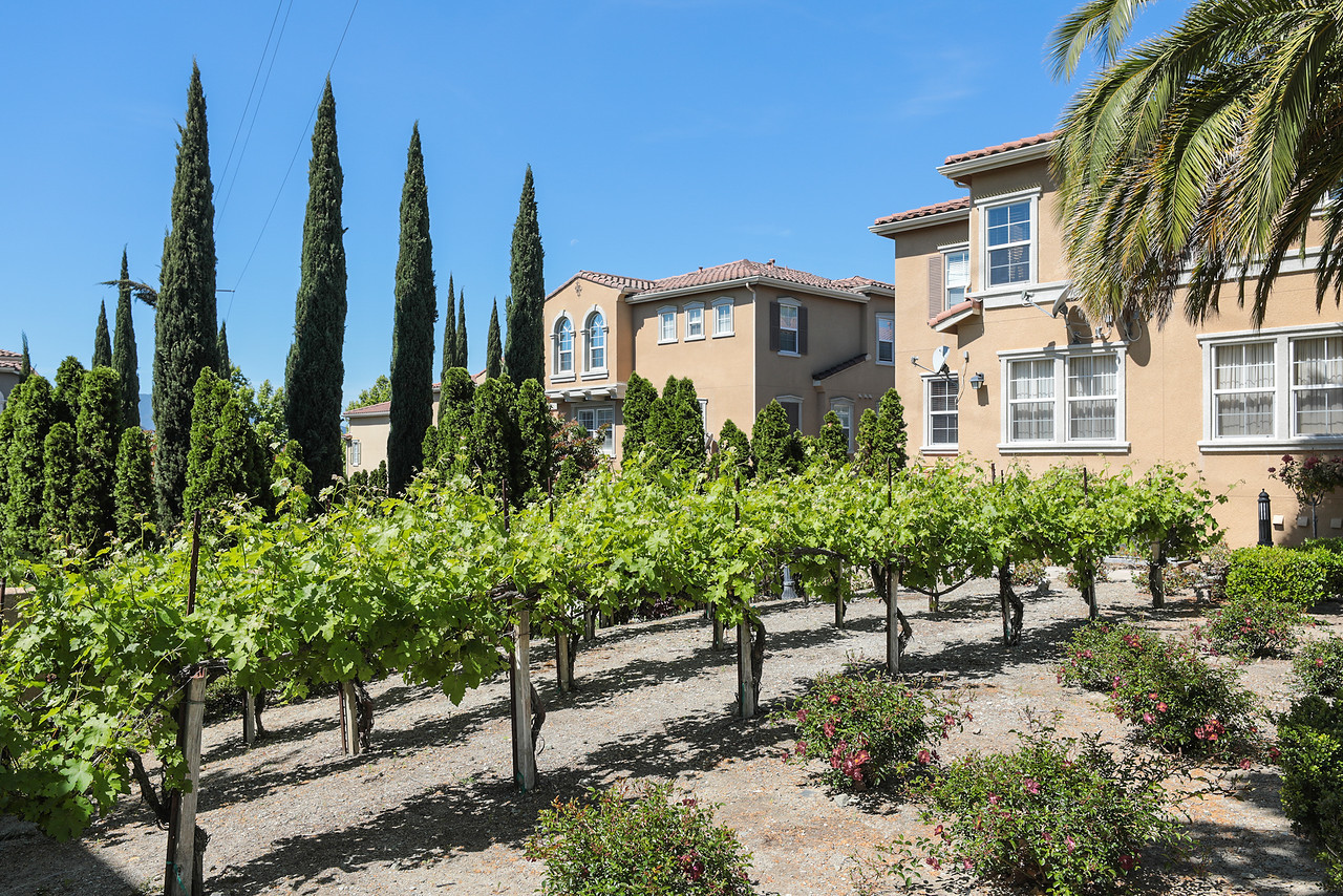 3 Things You Didn’t Know About Communications Hill Homes of Silicon