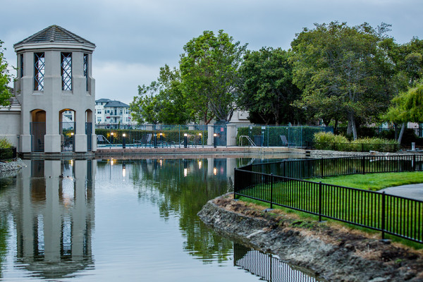 Redwood Shores Grant Keeler Today Sotheby's International Realty