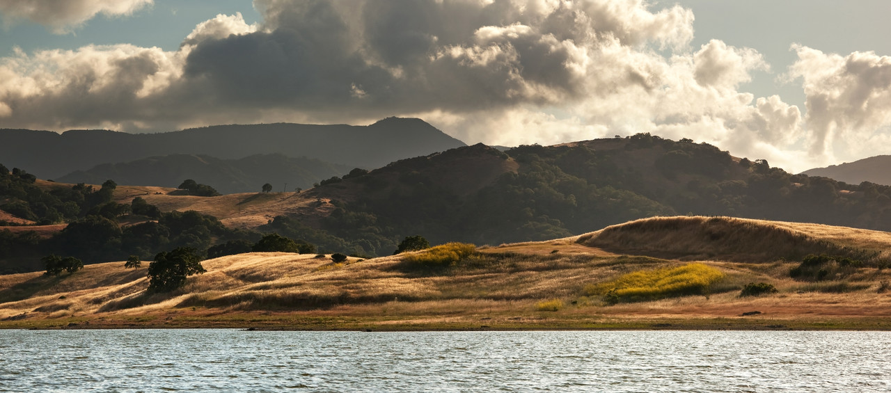 Almaden Valley Mike Gaines Willow Glen Realtor, San Jose Realtor