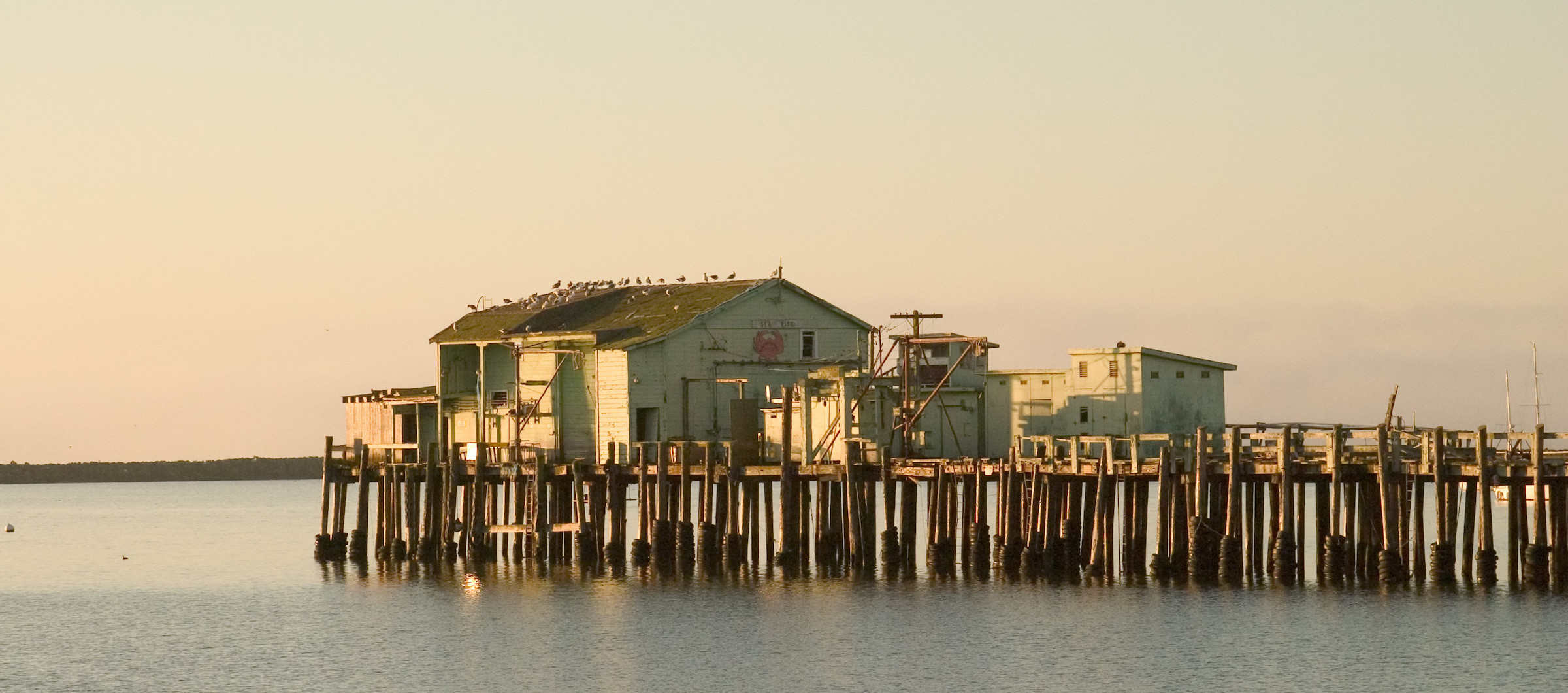 Half Moon Bay Dustin Holdt Silicon Valley Homes