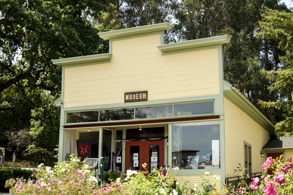 Saratoga Mike Gaines Willow Glen Realtor, San Jose Realtor