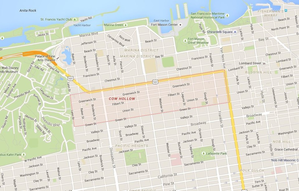 Cow Hollow Dona Crowder