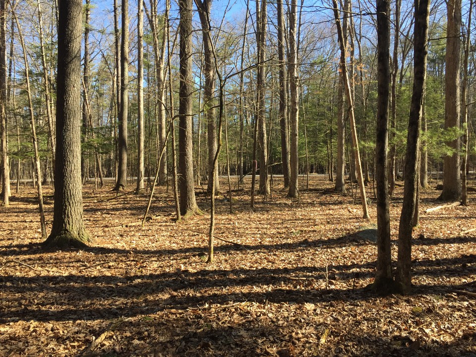 26 Cragswood Rd Church Street Realty Services