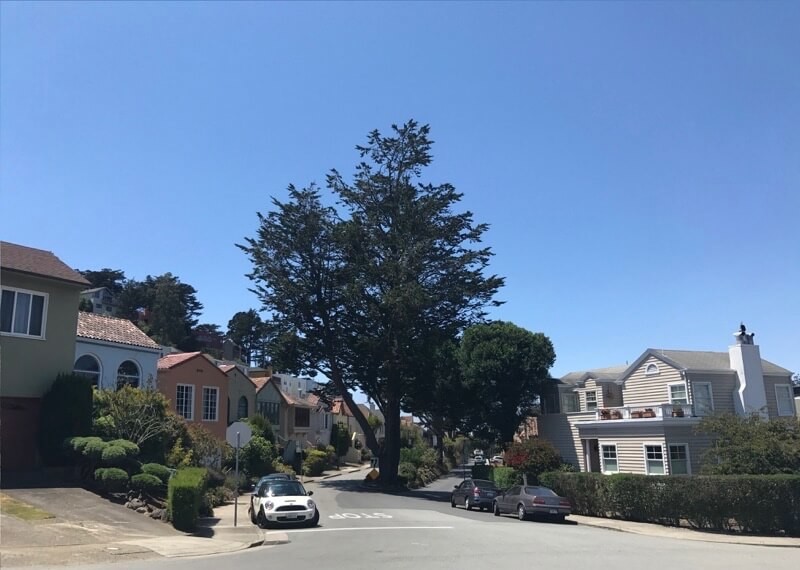 Forest Hill Extension San Francisco Bay Area Barbagelata Real