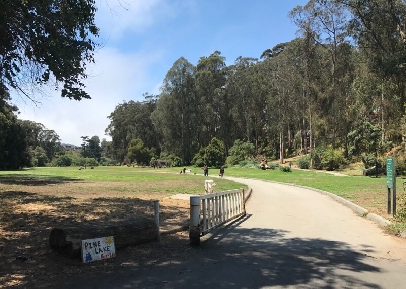 Pine Lake Park San Francisco Bay Area Barbagelata Real Estate Group