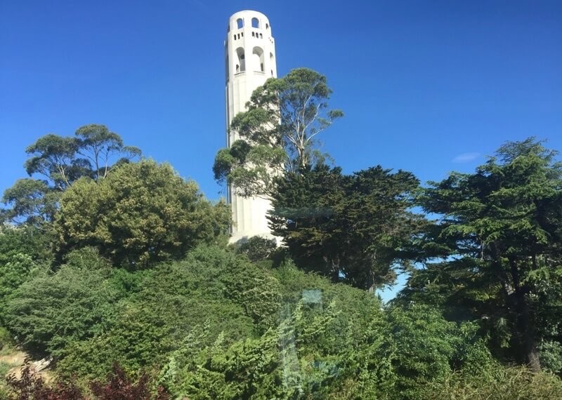 Telegraph Hill San Francisco Bay Area Barbagelata Real Estate Group