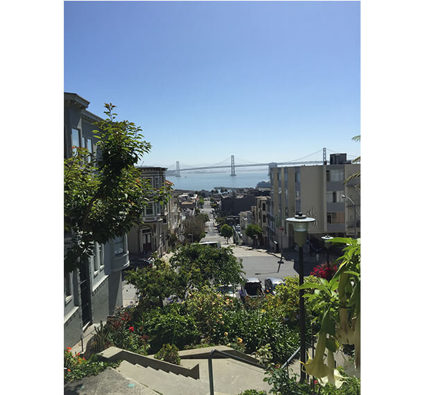 Telegraph Hill San Francisco Bay Area Barbagelata Real Estate Group