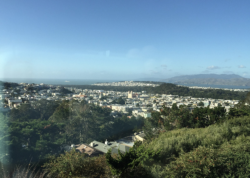 Forest Knolls San Francisco Bay Area Barbagelata Real Estate Group