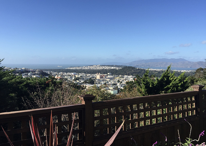 Forest Knolls San Francisco Bay Area Barbagelata Real Estate Group