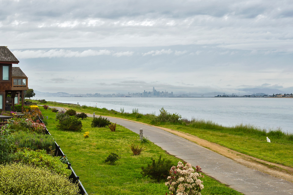 Harbor Bay/Bay Farm Kate McCaffrey