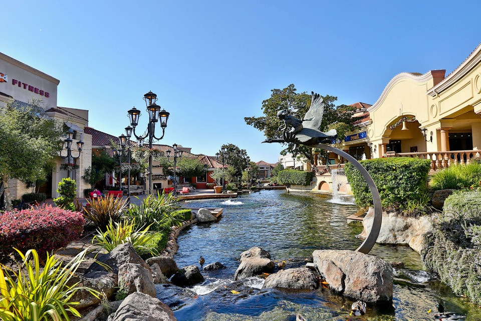 Walnut Creek Dana Weiler